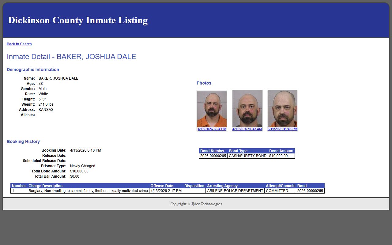 Dickinson County inmate records sample profile fields